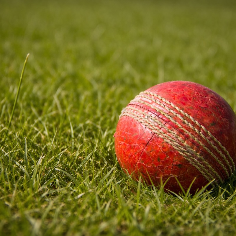 Cricket